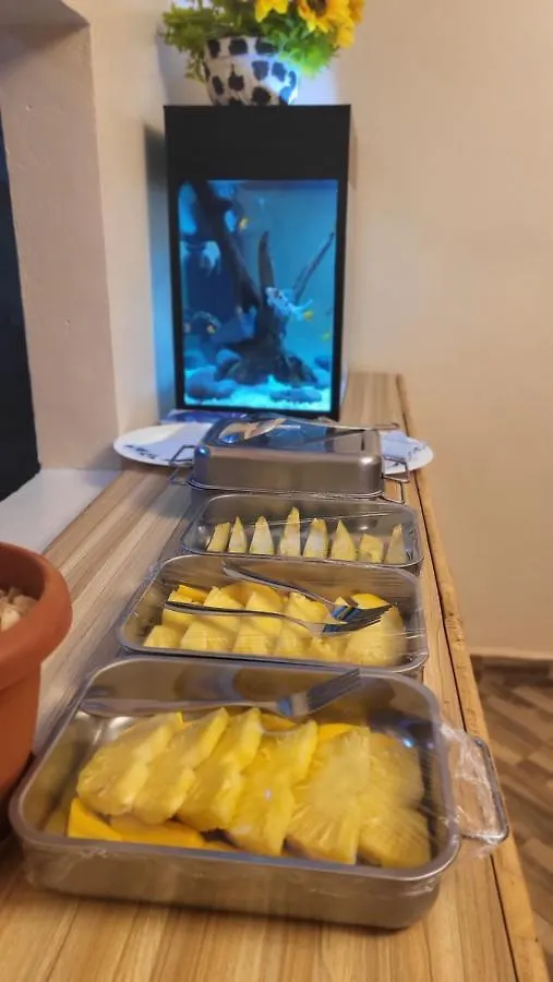 לינה וארוחת בוקר קמפאלה Ssemmondo Gardens אוגנדה